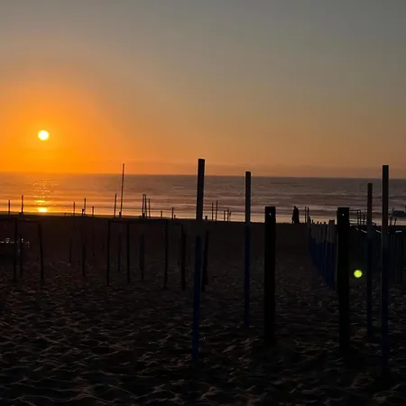 Atlantic Views Sintra * Colares